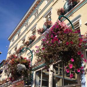 if you are afraid of the flower pot falling on your head, around this pub/restaurant, the chances are definitely higher ;)