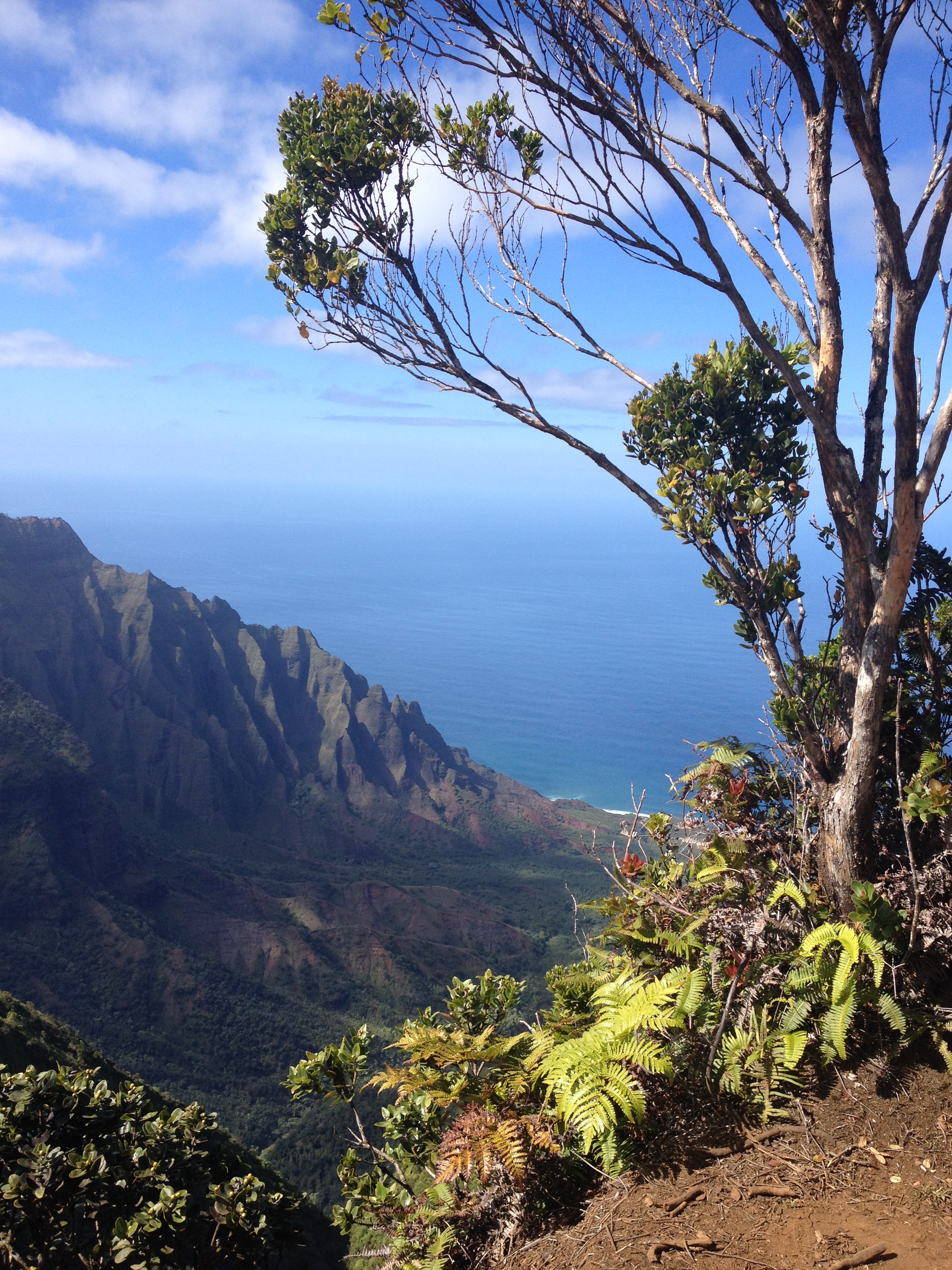 Kauai/Hawaii is always a good idea…