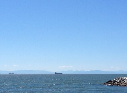 Brigit Elisabeth Services - Swiss Professional Coach & Consultant