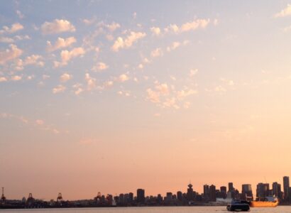 Brigit Elisabeth Services - Swiss Professional Coach & Consultant