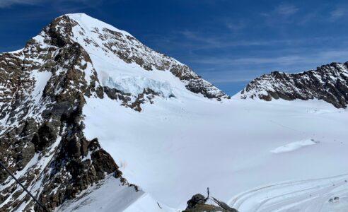 Coaching Supervision